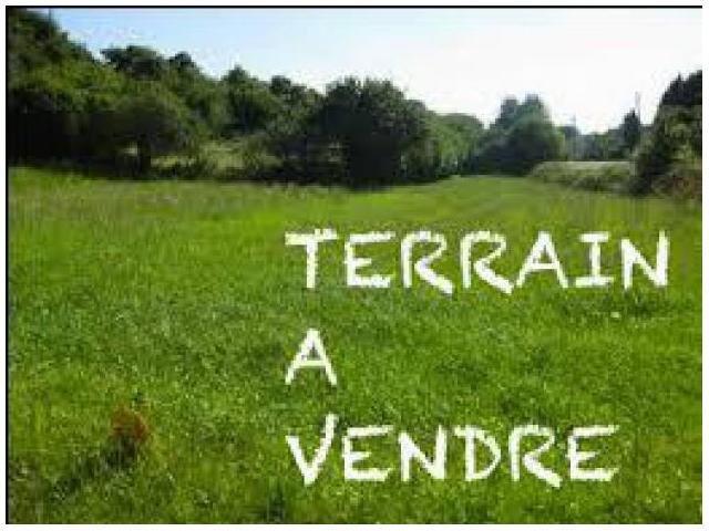 Terrain 100 m2 à Deroua