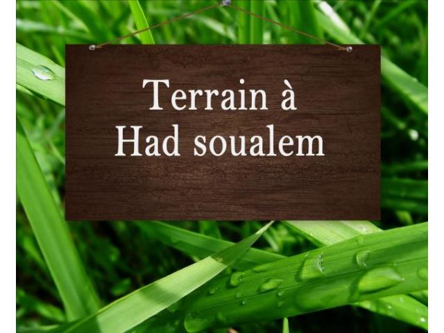 Terrain 100 m2 à Had Soualem