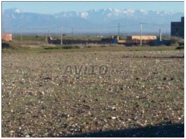 Terrain 2500 m2 à  Marrakech