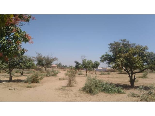 Terrain 300 mètres carrés à Nguérigne Sérére