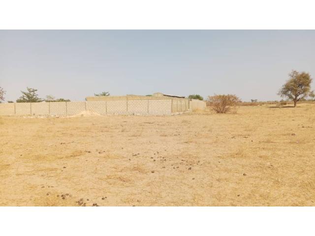 Terrain 300 mètres carrés à vendre à Malicounda Sénégal