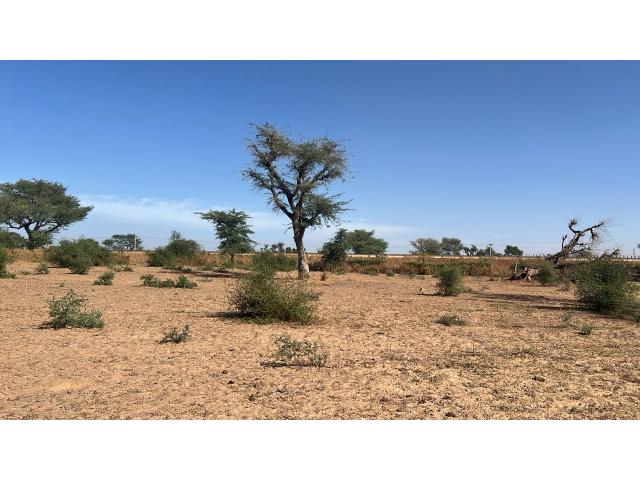 Terrain 300 mètres carrés à vendre à Malicounda Sénégal