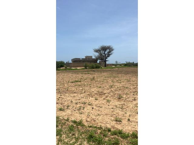 Terrain 300 mètres carrés à vendre à Malicounda Sénégal