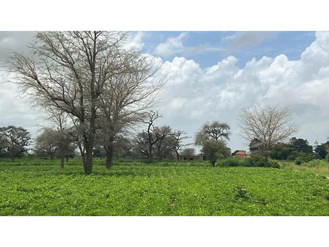 Terrain 300 mètres carrés à vendre à Malicounda Sénégal