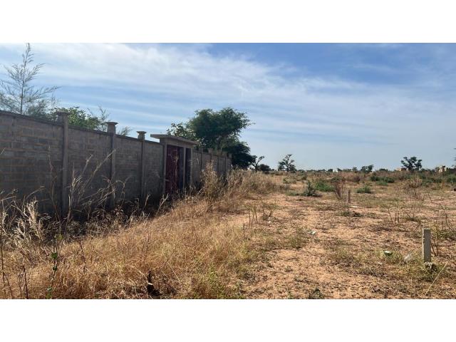 Terrain 300 mètres carrés à vendre à Malicounda Sénégal