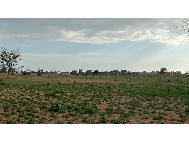 Terrain 300 mètres carrés à vendre à Malicounda Sénégal