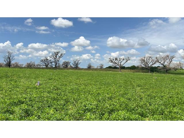 Terrain 600 mètres carrés à vendre à Malicounda Sénégal