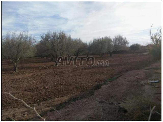Terrain 6000 m2 à  Route de Fès