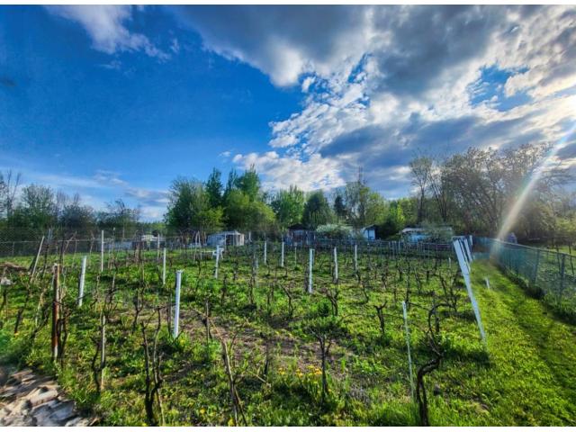 Terrain 6500pc pour agriculture ou élevage à Laval Auteuil (Quebec)