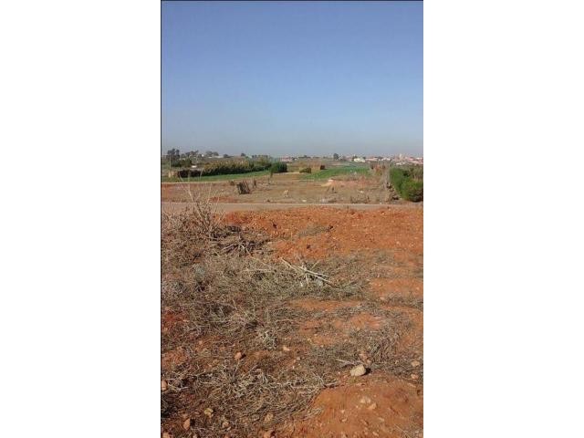 Terrain à Ain Tekki