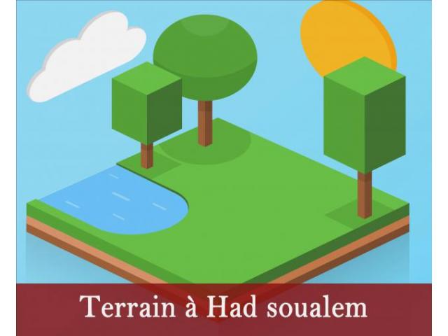 Terrain à lotissement Al Alia