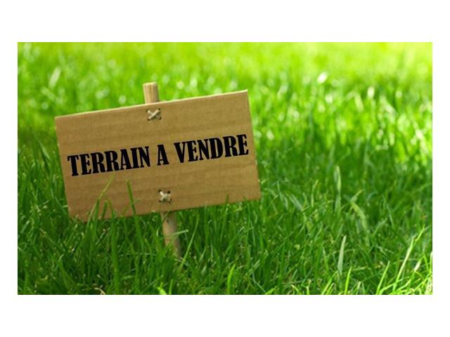 Photo Terrain à Vendre à Sidi Abdelhamid image 1/1