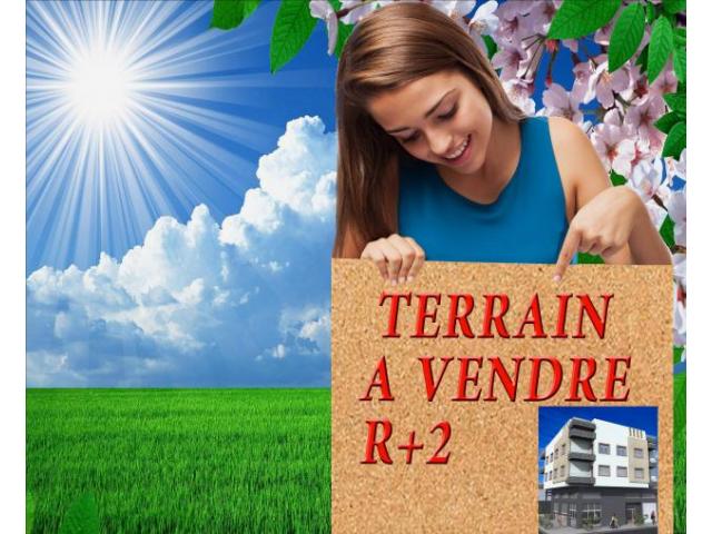 terrain à vendre d'une superficie de 116m²