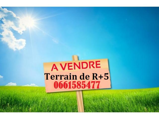 Terrain à vendre de R+5