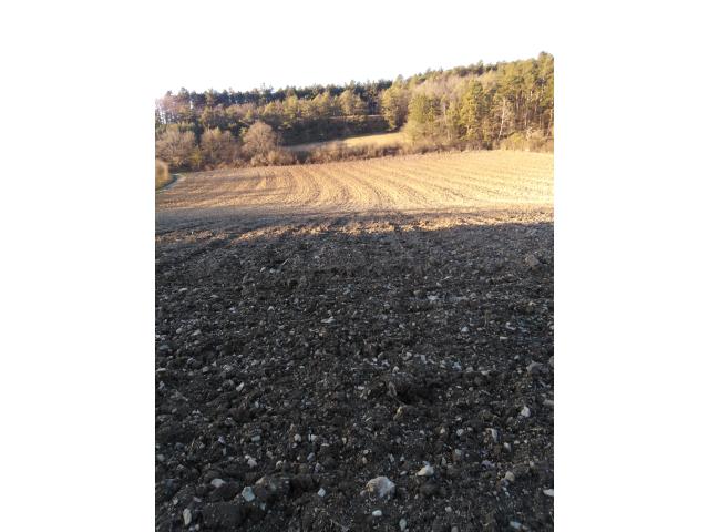 Photo Terrain agricole à vendre a Viroinval image 1/3