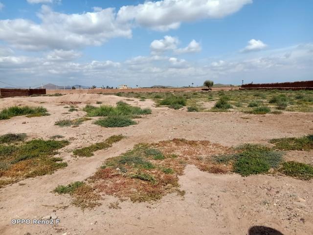 Photo terrain agricole de 10Ha en location sur la route de fez image 1/1