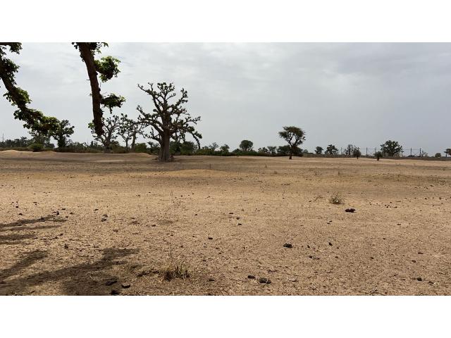 Terrain agricole de 2 hectares et demi à vendre à louly Sénégal