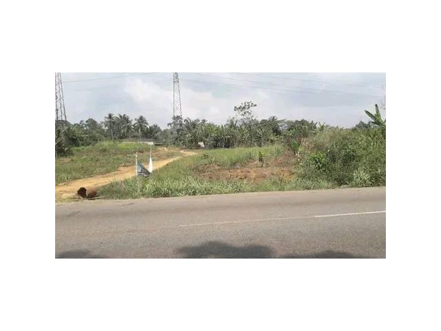 Photo Terrain agricole en bordure de route de plus 500 hectares non titré à vendre à MAKONDO dans  dans la image 1/1