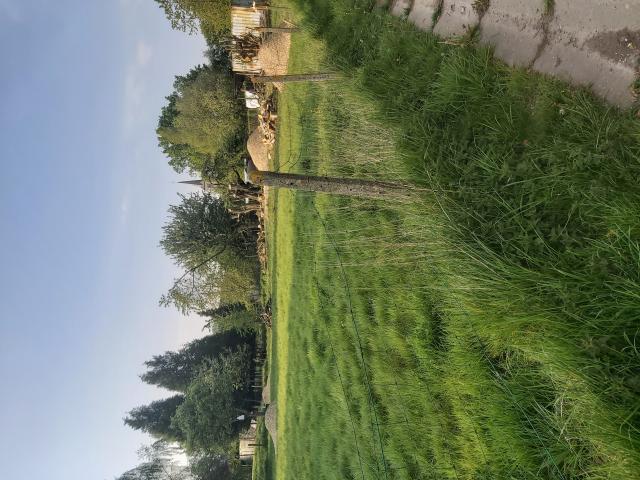 Terrain clôturé pour moutons ou brebis