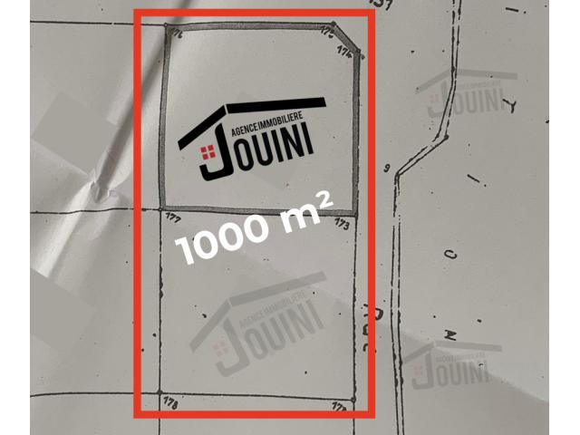 Terrain Constructible 1000 m² a Borj Louzir