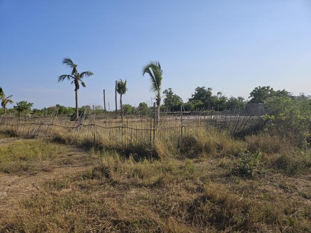 Terrain constructible à Morondava (Madagascar)