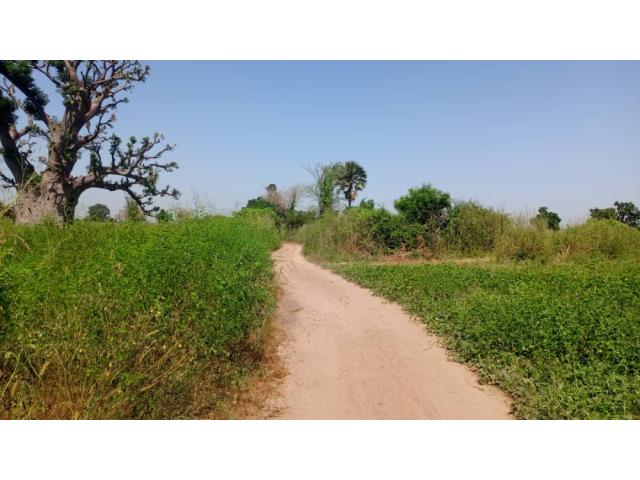 Terrain de 1 hectare à vendre à Louly Sénégal