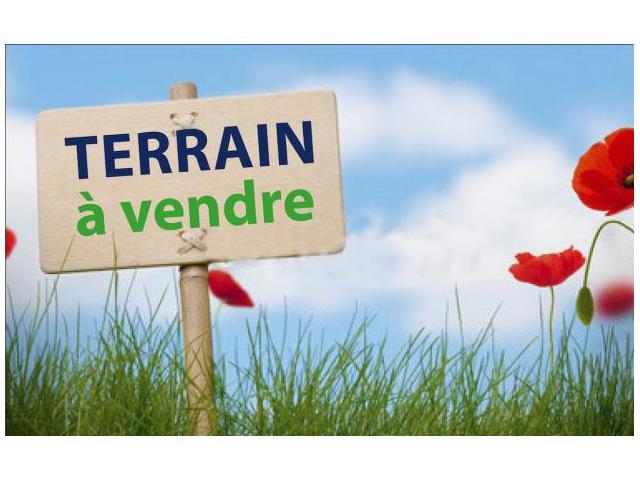 Photo terrain de 100 m2 à bir jdid image 1/1