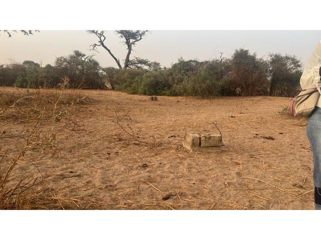 Terrain de 150 mètres carrés à vendre à Keur youngar Sn