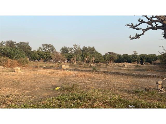 Terrain de 150 mètres carrés à vendre à Keur youngar Sn