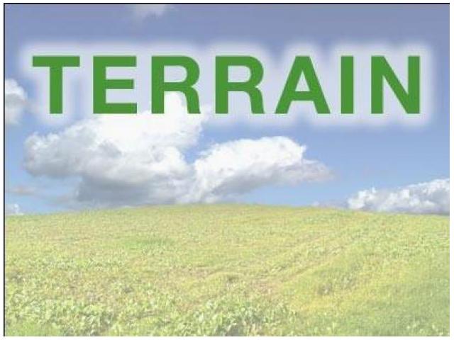 Terrain de 15000 sur Mohammedia