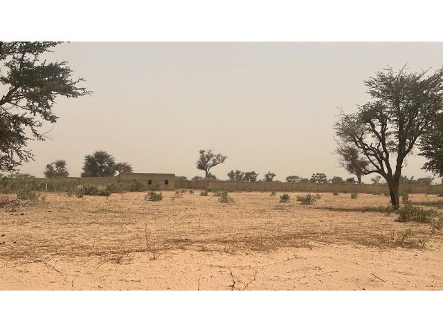Terrain de 225 mètres carrés à vendre à Malicounda Sénégal