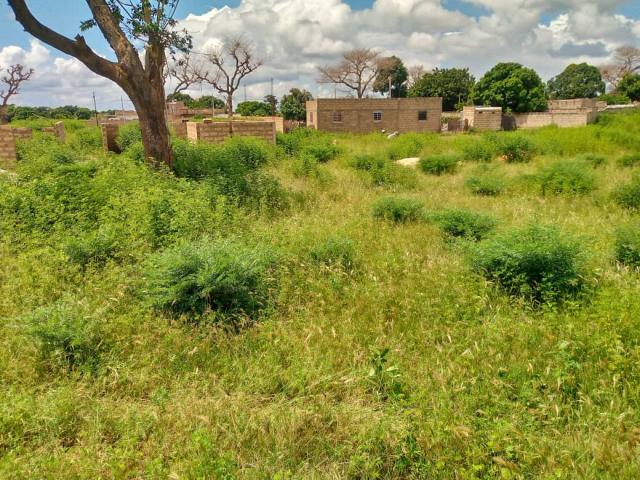 Terrain de 225 mètres carrés à vendre à Saly Sénégal