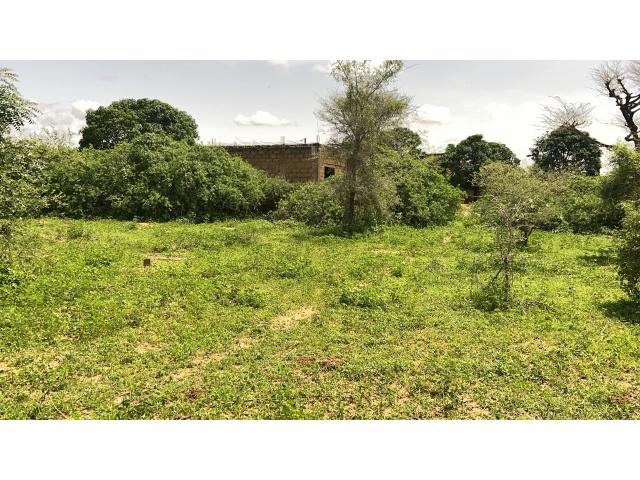 Terrain de 225 mètres carrés à vendre à Saly Sénégal