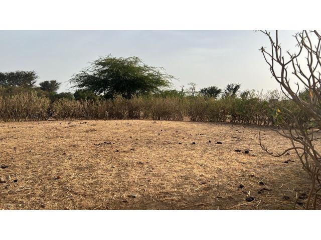 Terrain de 300 mètres carrés à vendre à Sinthiou Sénégal