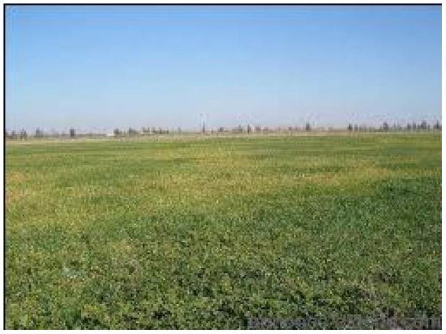 Terrain de 38596 sur Had Soualem