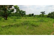 Annonce Terrain de 450 mètres carrés à vendre à Sindia Sénégal