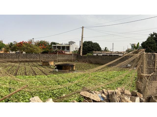 Terrain de 487 mètres carrés à vendre à Saly Sénégal