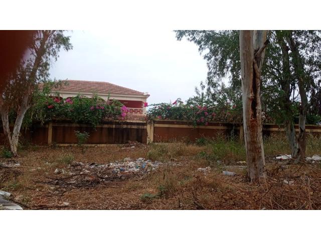 Terrain de 500 mètres carrés à vendre à Saly Sénégal