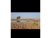 Annonce Terrain de 6 hectares à vendre à Tassette  Sénégal