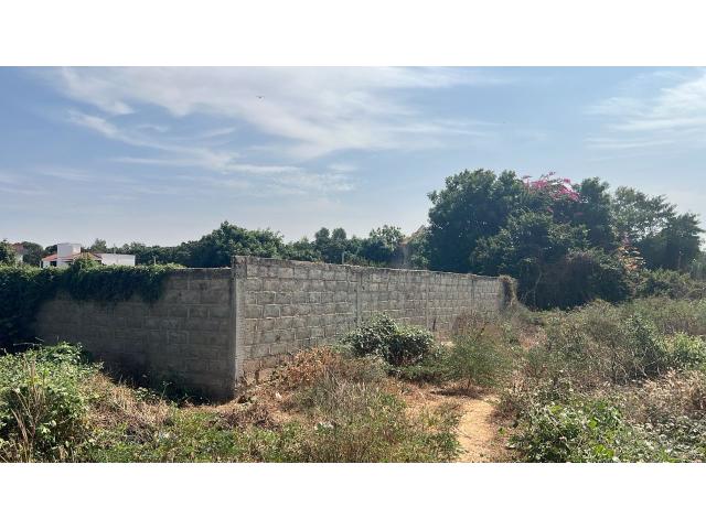 Terrain de 600 mètres carrés à vendre à Saly Sénégal