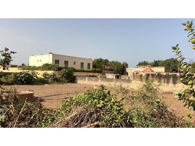 Terrain de 700 mètres carrés à vendre à Saly Sénégal