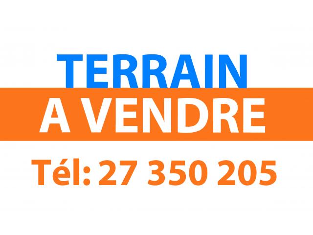 TERRAIN LE NORD 1
