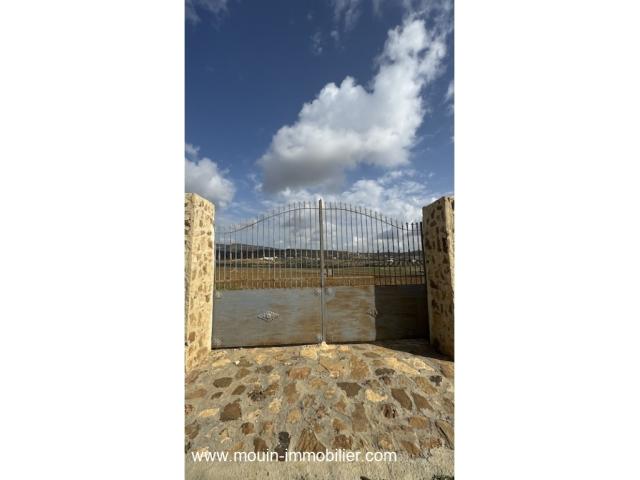 TERRAIN MZIRAA Hammamet Birbouregba T1024