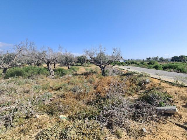 TERRAIN NOURAN Les Deux Oueds, Hammamet Nord T894