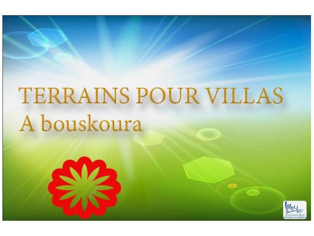 Terrain pour villa à Bouskoura 317 m²