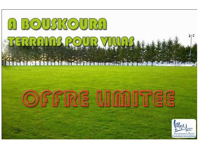 terrain pour villa  R+1