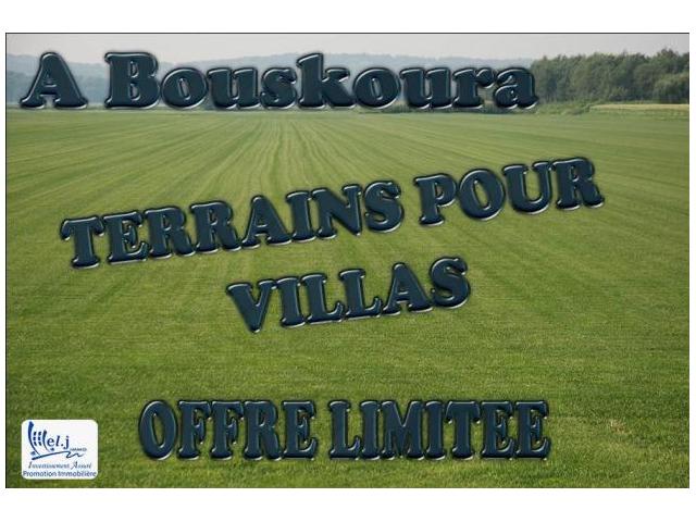 Terrain pour villa R+1 à BOUSKOURA