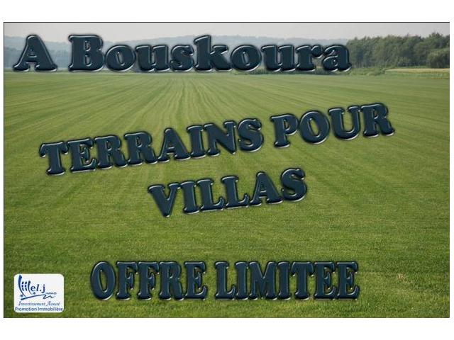 Terrain pour villa R+1 à BOUSKOURA