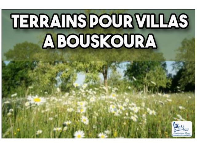 Terrain pour villa R+1 à BOUSKOURA