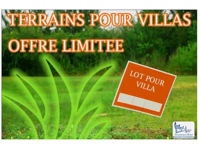 Terrain pour villa R+1 à BOUSKOURA